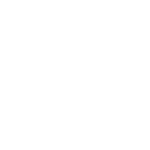 vilage